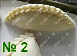 Формующий узел пельменного аппарата Roal Meat QT-150 №2 (имитация лепки: полумесяц, плет края, 16-18гр) Формующий узел пельменного аппарата Roal Meat QT-150 №2 (имитация лепки: полумесяц, плет края, 16-18гр)